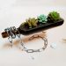 Creative home succulent flower pots, hanging beer bottles creative, this is a creative flower pot