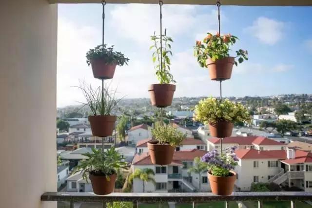 The balcony turns into a small, exquisite garden, moving, just a step away!
