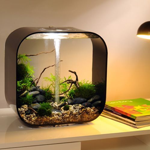 45 Stunning Aquarium Design Ideas for Indoor Decorations